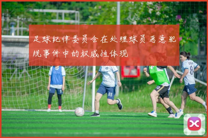 足球纪律委员会在处理球员恶意犯规事件中的权威性体现