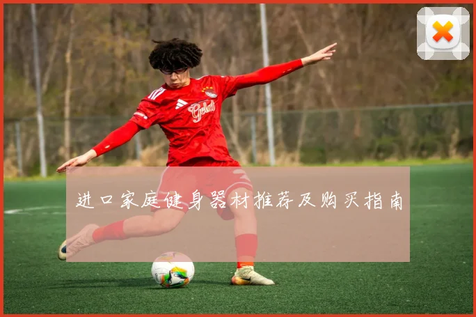 进口家庭健身器材推荐及购买指南