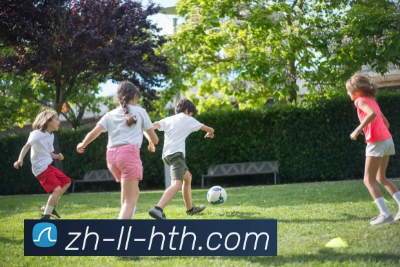 华体会登录入口平台生态图